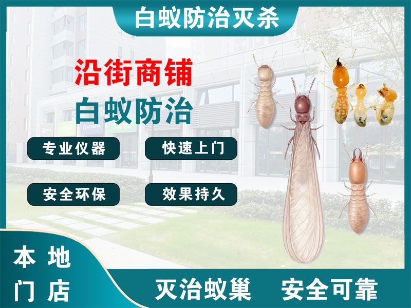 杨浦沿街商铺白蚁防治