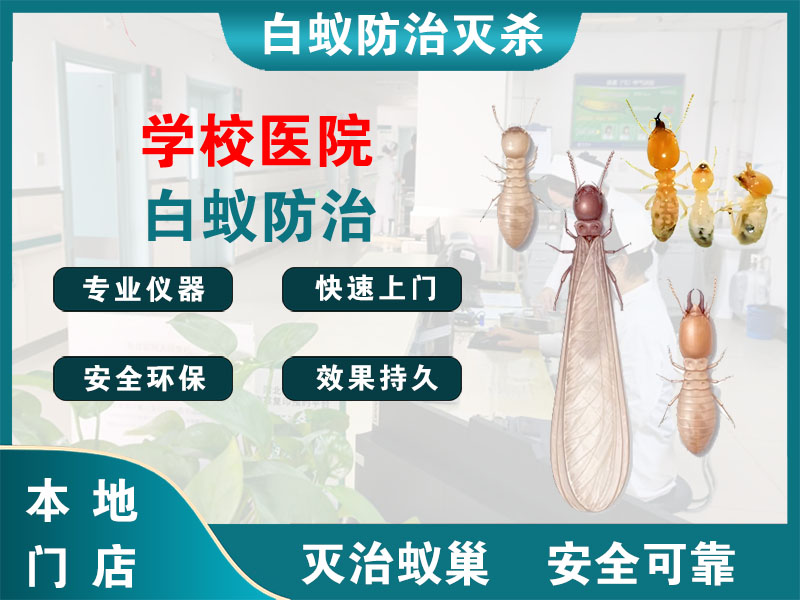 杨浦学校医院白蚁防治