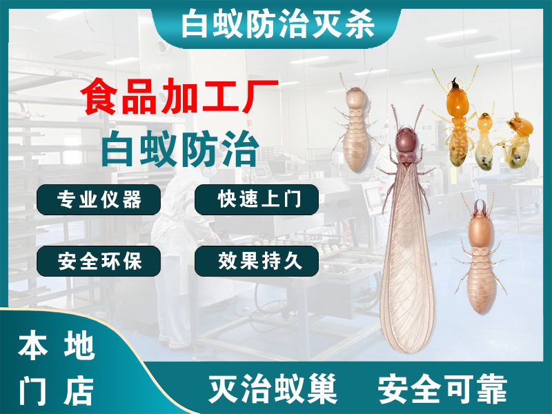杨浦食品加工厂白蚁防治