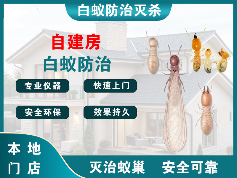 杨浦自建房白蚁防治