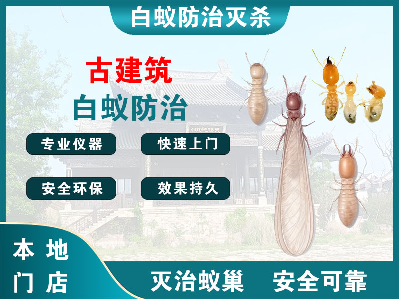 杨浦古建筑白蚁防治