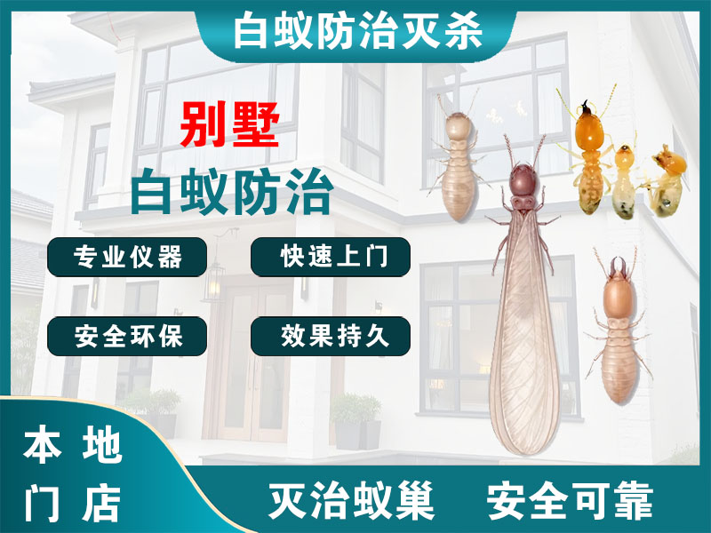 杨浦别墅白蚁防治